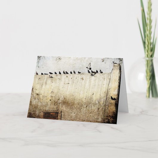 B.ハトの屋根 カード (正面)