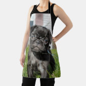 B；バックパグ子犬 エプロン (インサイチュ)