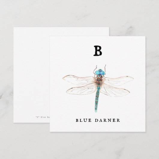 "B"ブルーダーナー (正面/裏面)