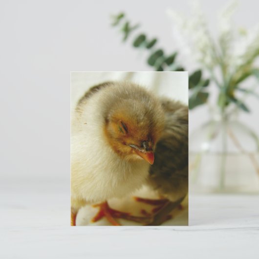 B.仕事で寝る ポストカード (スタンド正面)