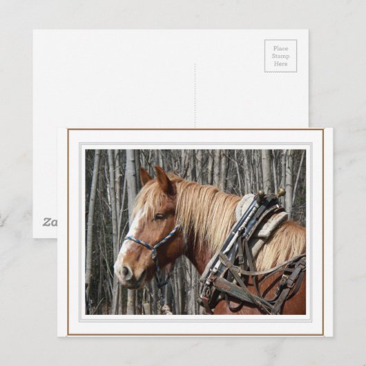 B.休憩する ポストカード (正面/裏面)