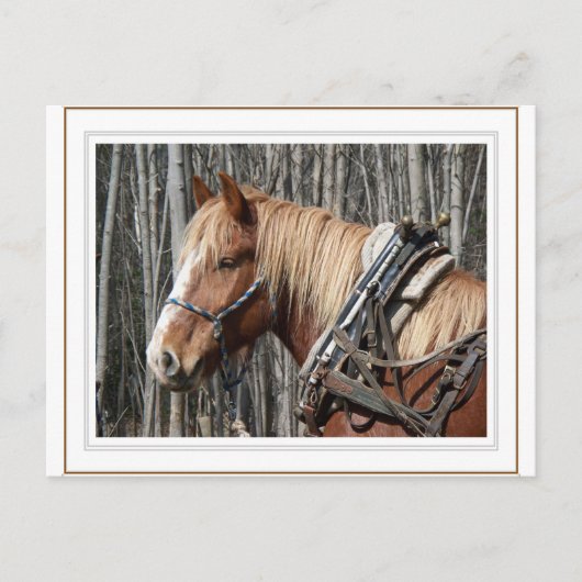 B.休憩する ポストカード (正面)