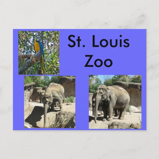 B.動物園にいる動物 ポストカード (正面)