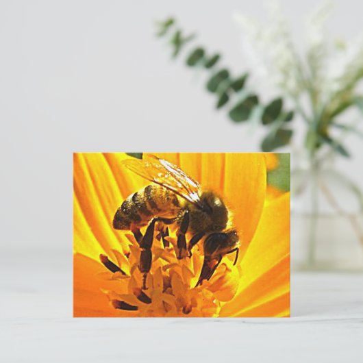 B.花に乗る ポストカード (スタンド正面)