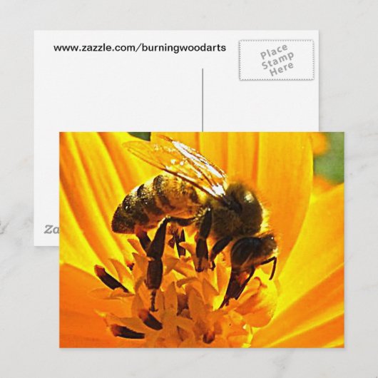 B.花に乗る ポストカード (正面/裏面)