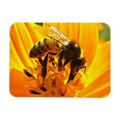 B.花に乗る マグネット (横)