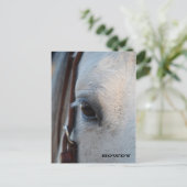 B.馬のはがきの目を通して ポストカード (スタンド正面)