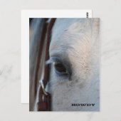 B.馬のはがきの目を通して ポストカード (正面/裏面)