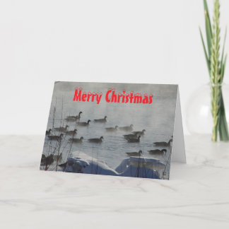 B 49 Canada Geese on Foggy River Christmas Card サンキューカード