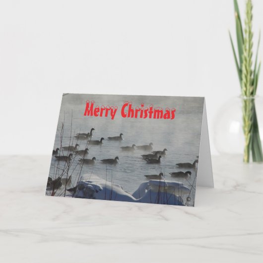 B 49 Canada Geese on Foggy River Christmas Card サンキューカード (正面)