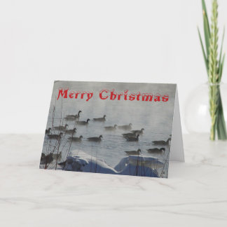 B 49 Canada Geese on Foggy River Christmas Card サンキューカード