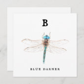 "B" Blue Darnerフラットカード (正面/裏面)
