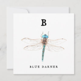 "B" Blue Darnerフラットカード