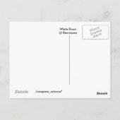 B E A R I Z O N Aホワイトバイソン ポストカード (裏面)