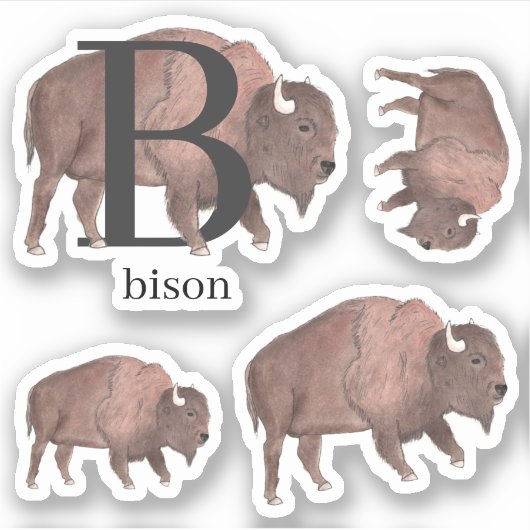 B for Bison Stickers シール (正面)