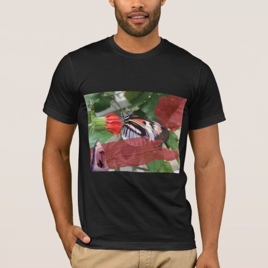 $B$ $harks & old english Tシャツ (正面)