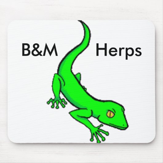 B&M Herpsのマウスパッド マウスパッド (正面)