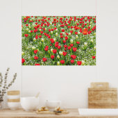 B of Tulips, Gorsedd Gardens, Cardiff, Wales. ポスター (キッチン)