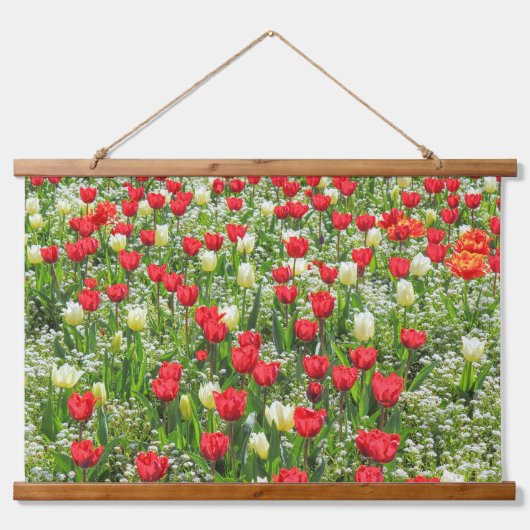 B of Tulips, Gorsedd Gardens, Cardiff, Wales. 吊り下げ型タペストリー (正面)