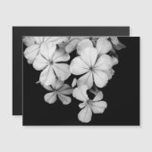 b&wはがき (正面/裏面)