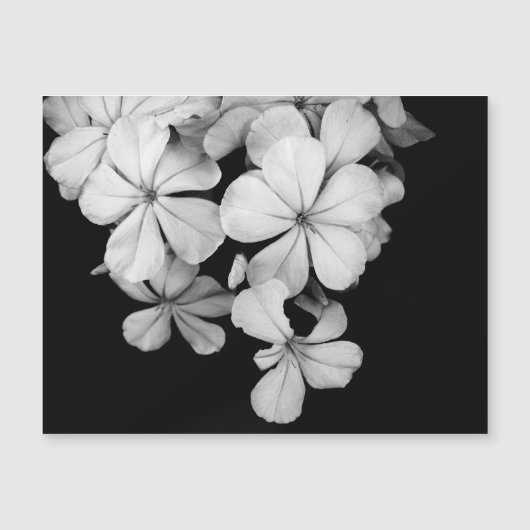 b&wはがき (正面)