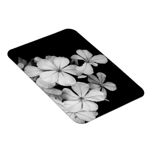 b&wはがき マグネット (右側)