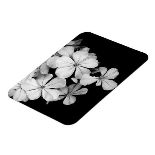 b&wはがき マグネット (左側)