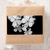 b&wはがき ラベル (インサイチュ)