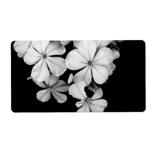 b&wはがき ラベル (正面)