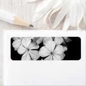 b&wはがき ラベル (インサイチュ)