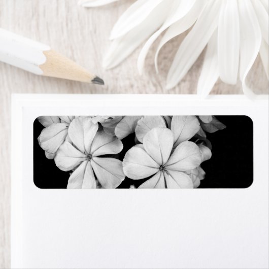 b&wはがき ラベル (インサイチュ)