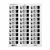 b&wはがき ラベル (フルシート)