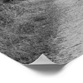 B&Wウッドパス ポスター (角)