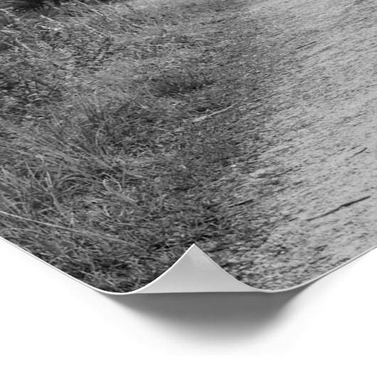 B&Wウッドパス ポスター (角)