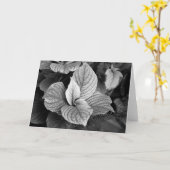 B/Wカードの緑 カード (黄色い花)