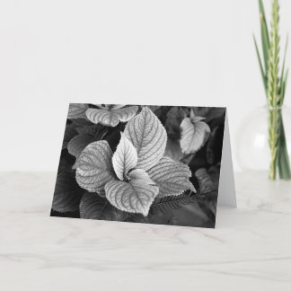 B/Wカードの緑 カード