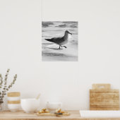 B&Wシーガルイン海フォーム ポスター (キッチン)