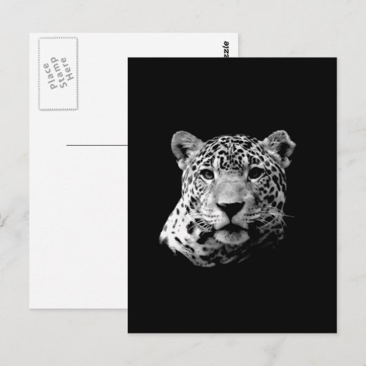 B&Wジャガー ポストカード (正面/裏面)