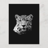 B&Wジャガー ポストカード (正面)