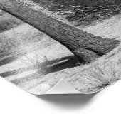 B&Wジョシュアツリーナショナルパーク フォトプリント            (角)