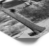 B&Wジョシュアツリーナショナルパーク ポスター (角)