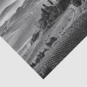 B&Wタスカニー 薄葉紙 (詳細)