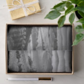 B&Wタスカニー 薄葉紙 (ギフト)