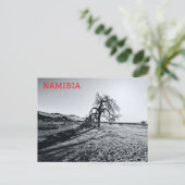 B+Wナミブデザートツリー ポストカード (スタンド正面)