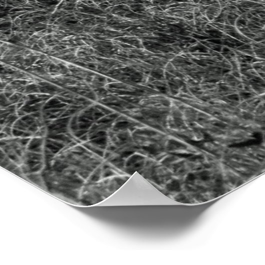 B&Wビーチ ポスター (角)