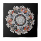 B&Wピエロ30 x 30 タイル (正面)