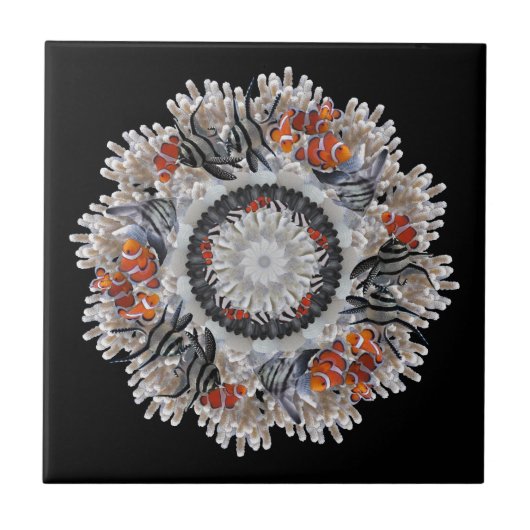 B&Wピエロ30 x 30 タイル (正面)