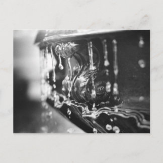 B&Wファウンテンポストカード ポストカード