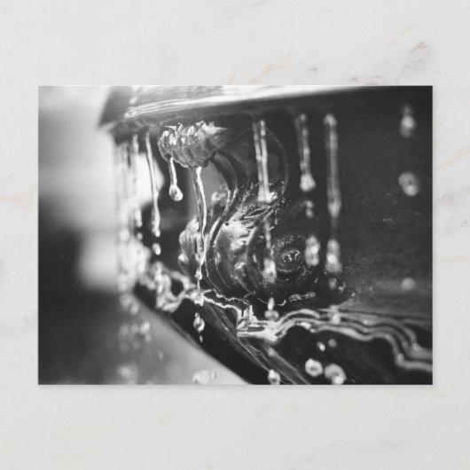 B&Wファウンテンポストカード ポストカード (正面)