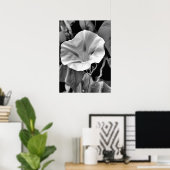 B & Wモーニンググローリープリント ポスター (ホームオフィス)